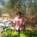 Joaquim Braz - @joaquimbraz35 - Instagram