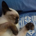 Joaquim Coutinho - Facebook