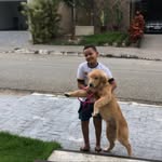 Joaquim Cunha Pinto - @joaquimcunha17 - Instagram