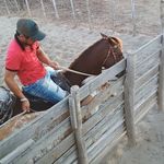 Joaquim da Silva pinto Neto - @netojoaquimdasilvapinto - Instagram
