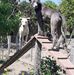 Joaquim Fonseca - Facebook