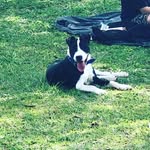 Joaquim Francisco - @joaq_uimfrancisco - Instagram