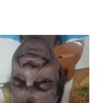 Joaquim Gonsalves - @joaquim.gonsalves1 - Instagram