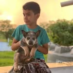 Joaquim guedes - @joaquimguedes456 - Instagram
