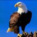 Joaquim De Carvalho Junior - Facebook