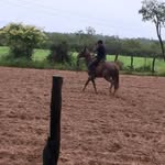 Joaquim Lemos - @joaquim_lemoos - Instagram
