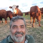 Joaquim lemos - @necolemos - Instagram