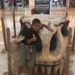 Joaquim Lemos - @joaquim.lemos.7315 - Instagram
