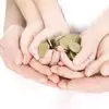 Joaquim Levy - @joaquim.levy31 - TikTok