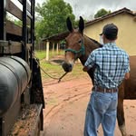 Joaquim massambani marciano - @joaquimmassambanimarciano - Instagram