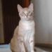 Joaquim Matos - Facebook