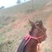 Joaquim Antonio De Menezes - Facebook