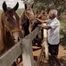 Joaquim Menezes - Facebook