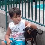 Joaquim Menezes - @joaquimmenezes68 - Instagram