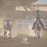 Joaquim Menezes Borges - @jocaborgess - Instagram