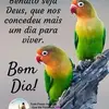 Luiz Joaquim Pio - @luiz.joaquim.pio0 - TikTok