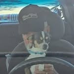 Joaquim Viegas - @joaquimmariaviegas123 - Instagram