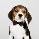 Joaquín Aguilar (JQ) - @jqlalune - Instagram