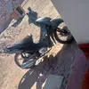 joakoo - @joaquinalanis2005 - TikTok