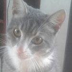 Joaquin Alanis - @joaquin.alanis.353 - Instagram