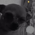 Joaquin Alarcon - @juako_alar - Instagram