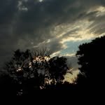 Joaquín Alarcoń - @paulo_joaquin_ - Instagram