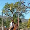 Joaquín Alarcon - @joaqun.alarcon - TikTok