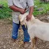 joaquin Aldana - @joaquin.aldana3 - TikTok