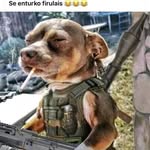 Joaquin Altamirano - @joaquinaltamirano7 - Instagram