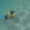 joaquin anaya - @joaquinitoanaya - TikTok