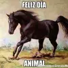 Joaquín Ancona - @juaquinelproj - TikTok