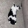 joaquinanderson - @joaquinanderson - TikTok