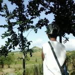 Joaquin Andrew Tuazon - @imjoaquintuazon - Instagram