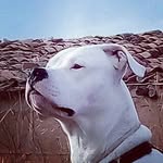 Gracia Sancho Joaquin Angel - @joaquinangelgraciasancho - Instagram