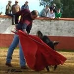 Joaquín Mata Anguiano - @kinatovic - Instagram
