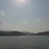 el cocho de guerrero - @joaquinarellano883 - TikTok
