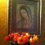 Joaquin Arizpe - @joaquinarizpe - Instagram