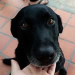 Joaquín Avalos - @joaquinavalos22 - Instagram