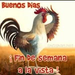 Fernando Joaquin Peña Avello - @penaavello - Instagram