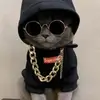 joaquinavello281 - @joaquinavello281 - TikTok