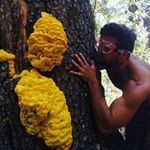 Joaquin Avila Meza - @joaquinavilameza - Instagram