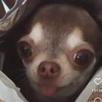 Joaquín Avilés - @joaquin.aviles.904 - Instagram