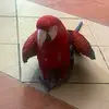 Joaquin - @joaquinayala37 - TikTok