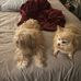 Traci Alderson Baldwin Garner - Facebook