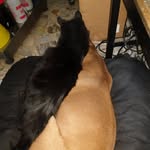Joaquin Baltazar - @joaquinbaltazar45 - Instagram