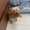 Joaquin Bárcenas - @joaquinbarcenas - TikTok