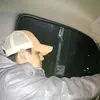Joaquin Barrios - @j.barrios14 - TikTok