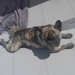 joaquin bastidas - @joaquin.bastidas35 - Instagram