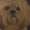 joaquin basurto - @joaquinbc - TikTok