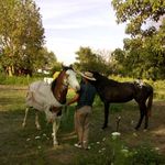 Joaquín Bejarano - @joaquin_bejarano06 - Instagram